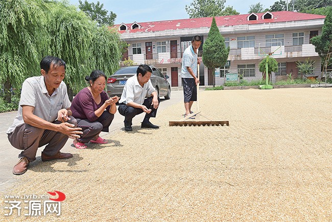 濟源網