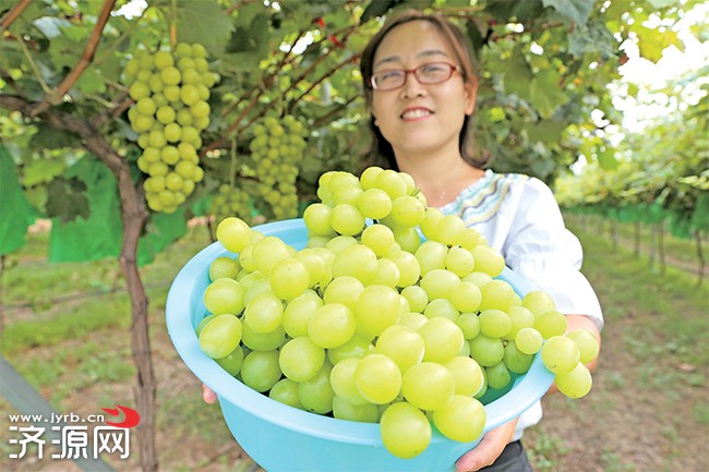 濟源網(wǎng)