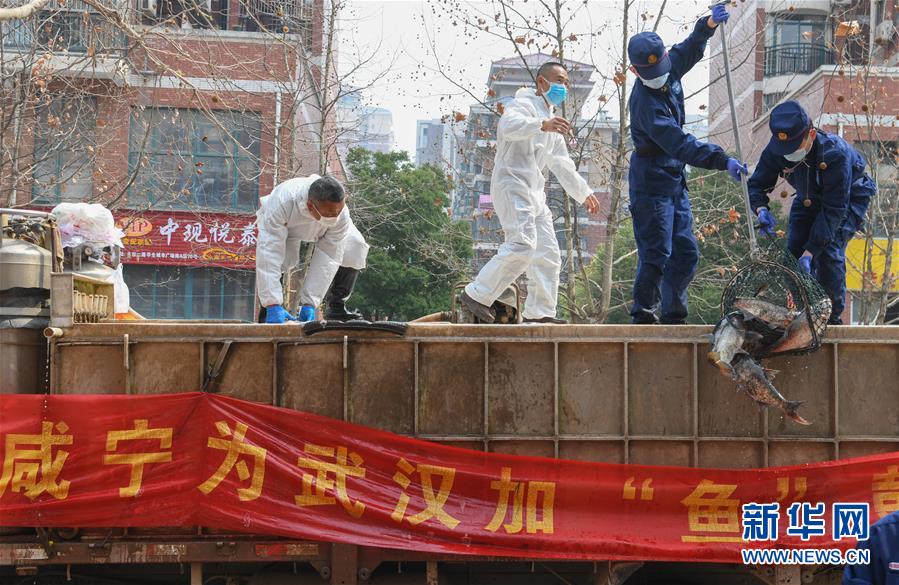 （新華全媒頭條·圖文互動）（12）從人民中汲取磅礴力量——習(xí)近平總書記同出席2020年全國兩會人大代表、政協(xié)委員共商國是紀(jì)實