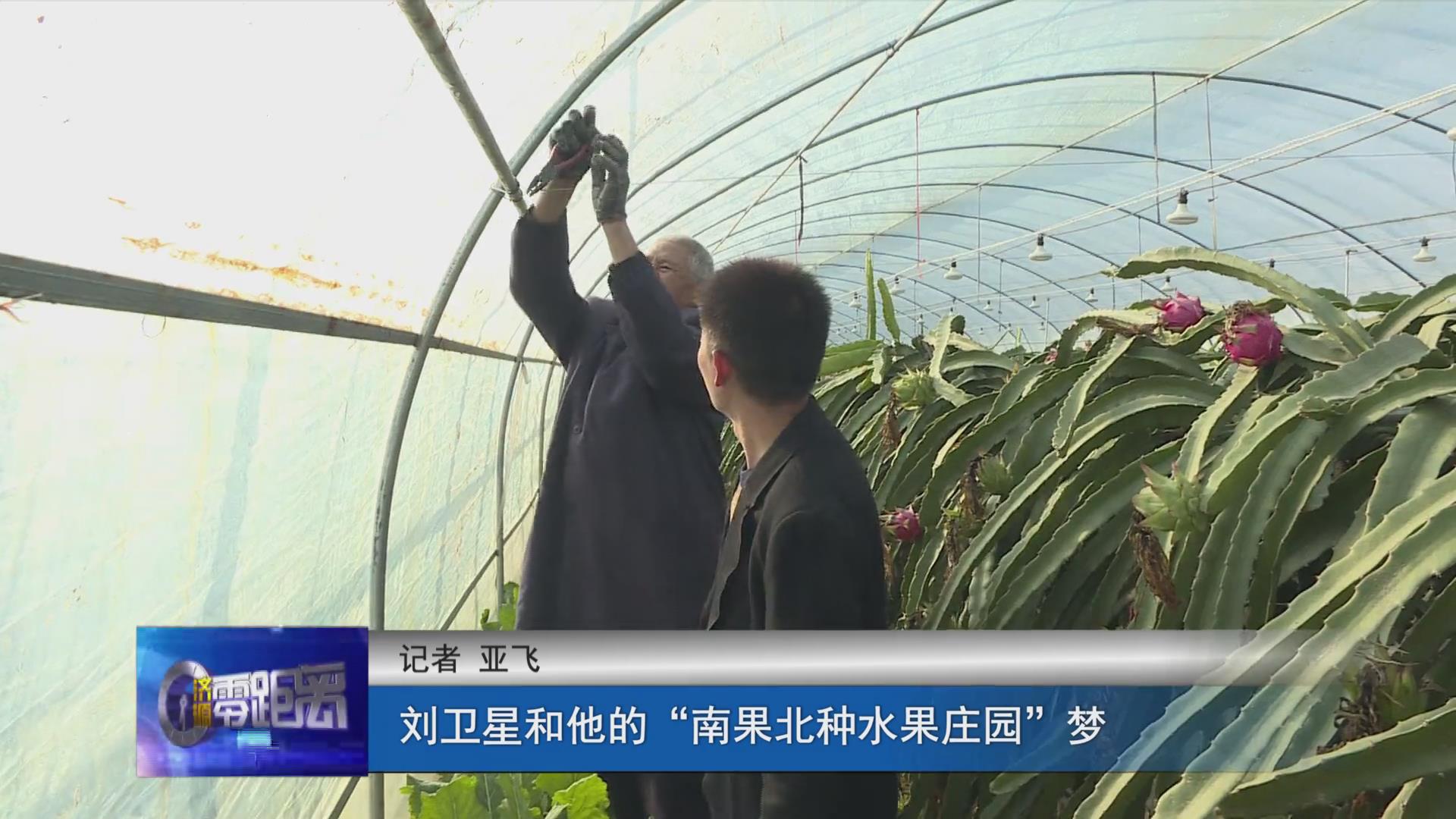 濟源網