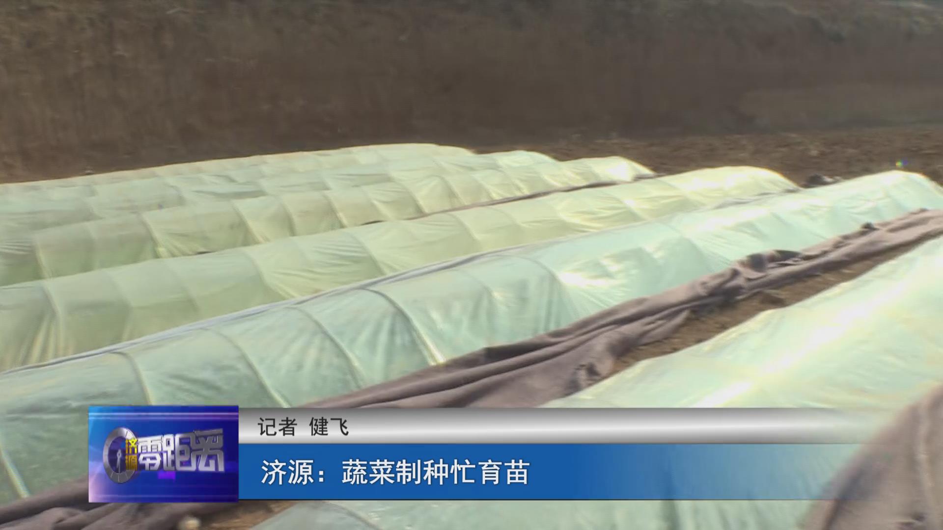 濟源網