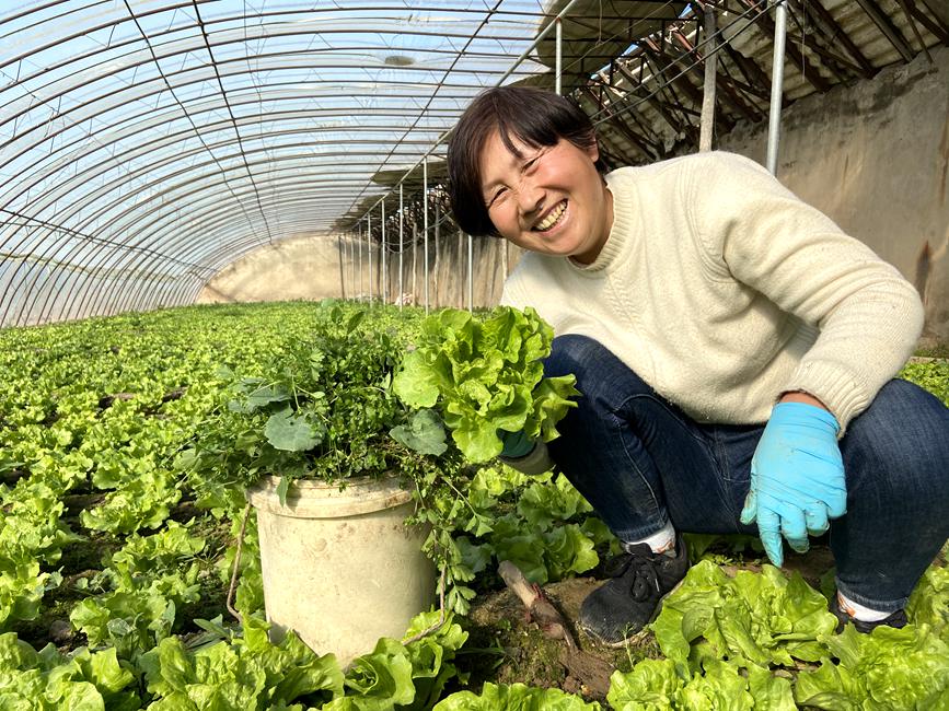 開封市順河回族區(qū)農(nóng)民春耕忙，喜笑顏。 開封市網(wǎng)信辦提供