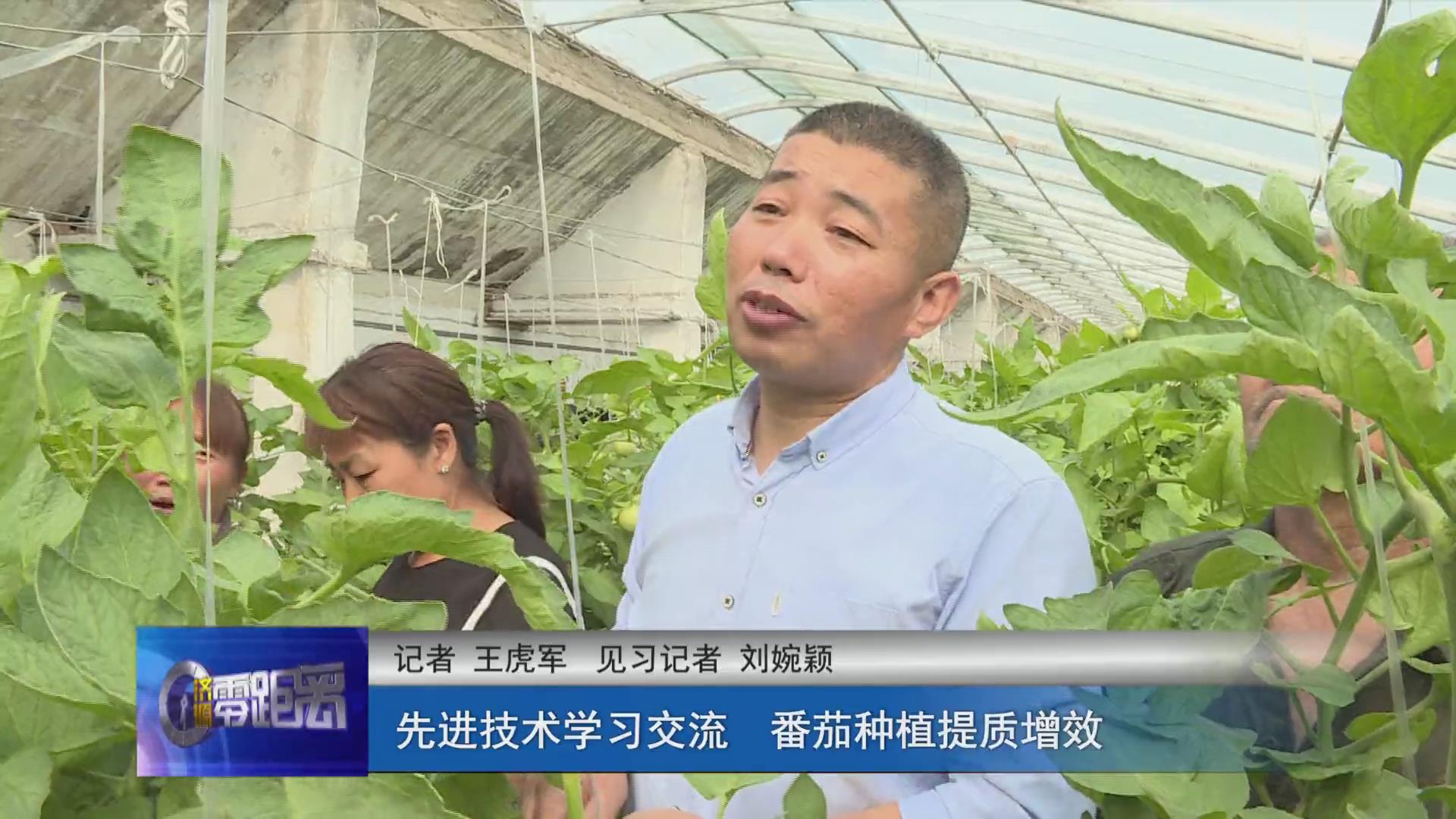 濟源網
