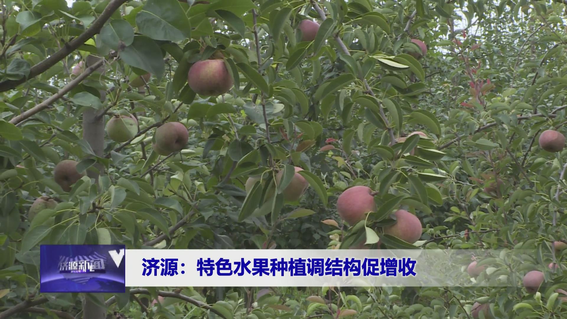濟源網