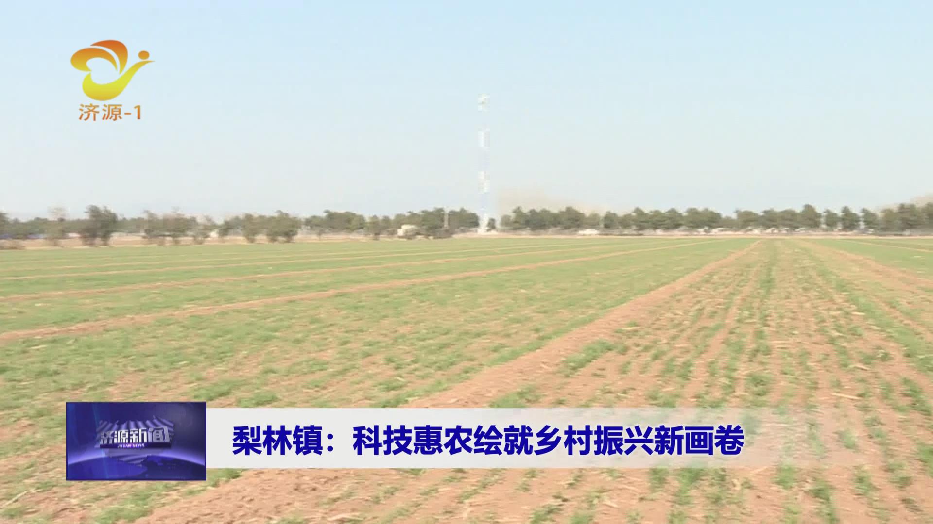 濟源網