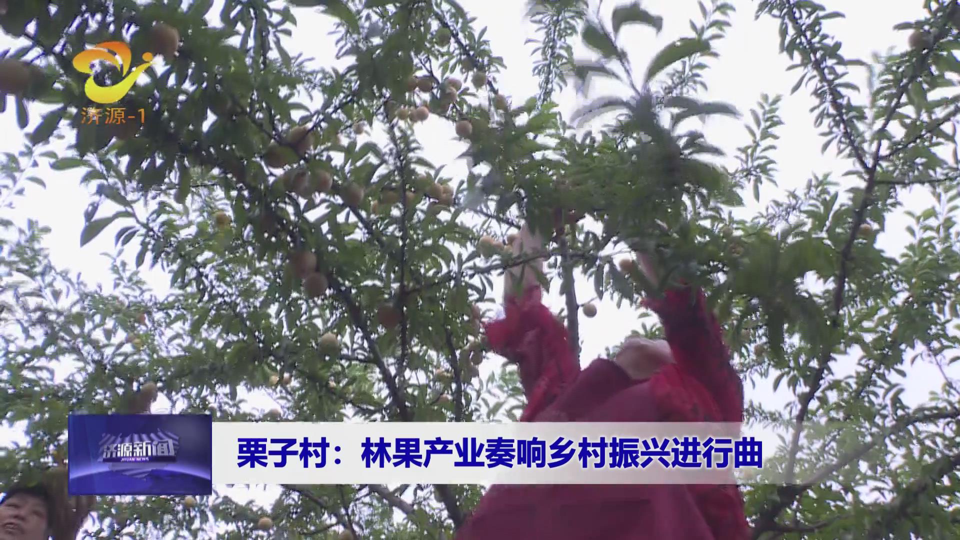 濟源網(wǎng)