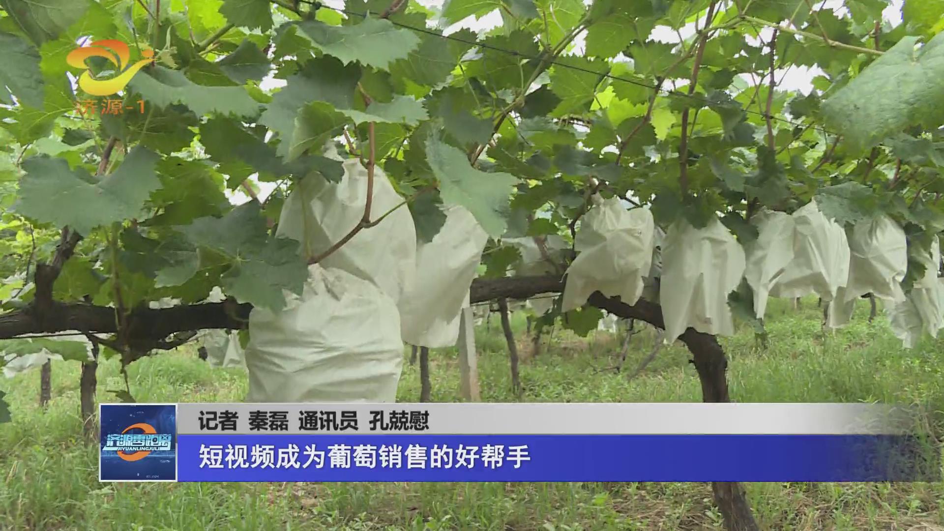 濟源網(wǎng)