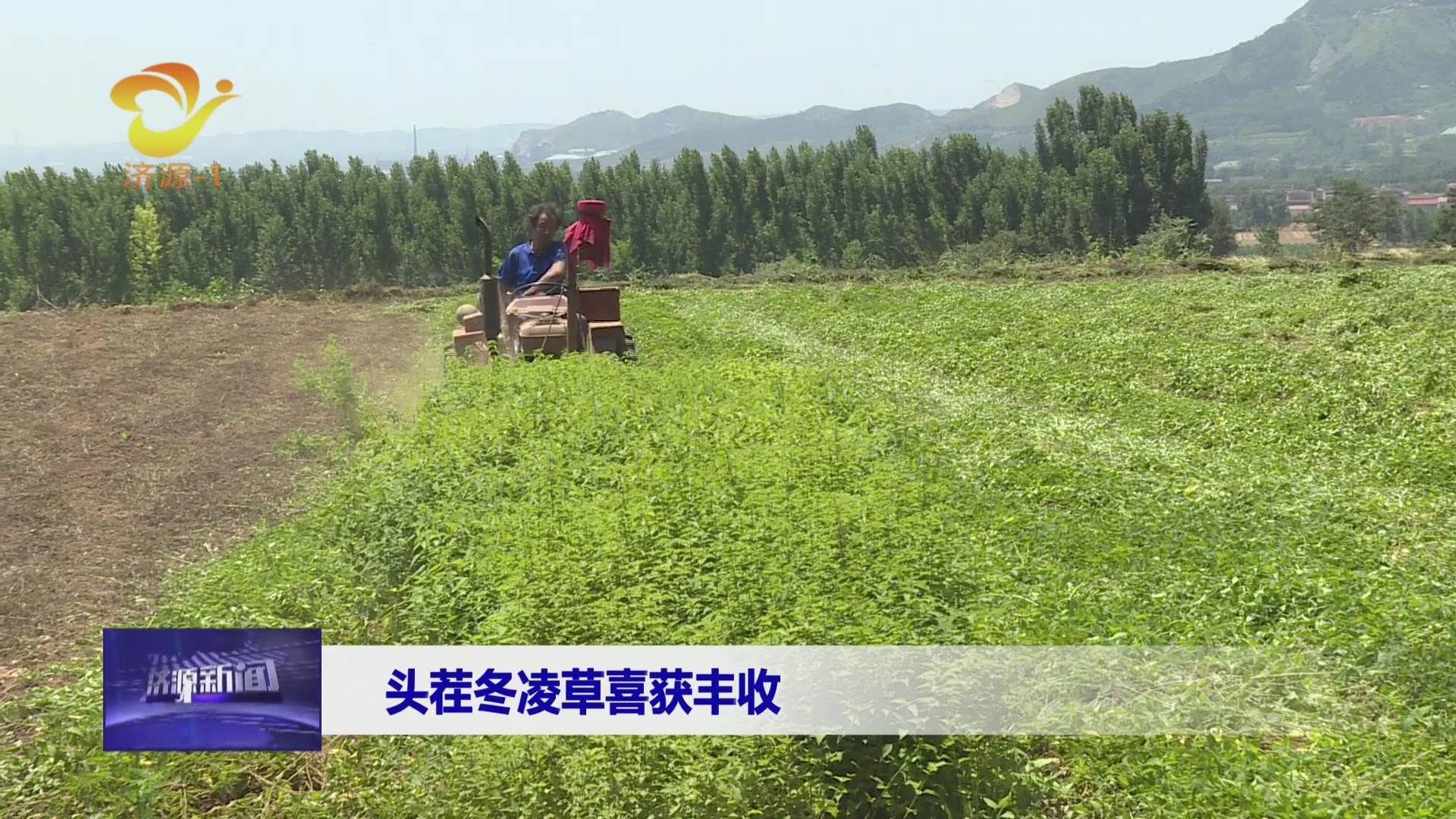 濟源網
