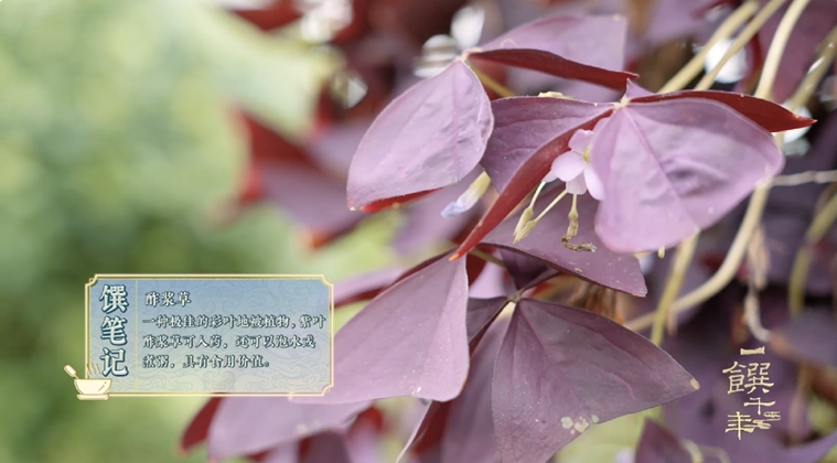 《一饌千年》走進河南開封，看豫菜何以影響中國2000余年