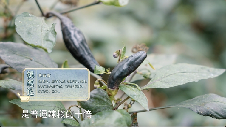 《一饌千年》走進河南開封，看豫菜何以影響中國2000余年