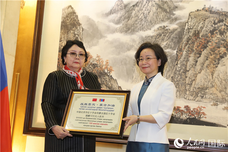 沈大使向?qū)殑跔柆敚ㄗ螅┟貢L轉(zhuǎn)交捐款。人民網(wǎng)記者 霍文攝