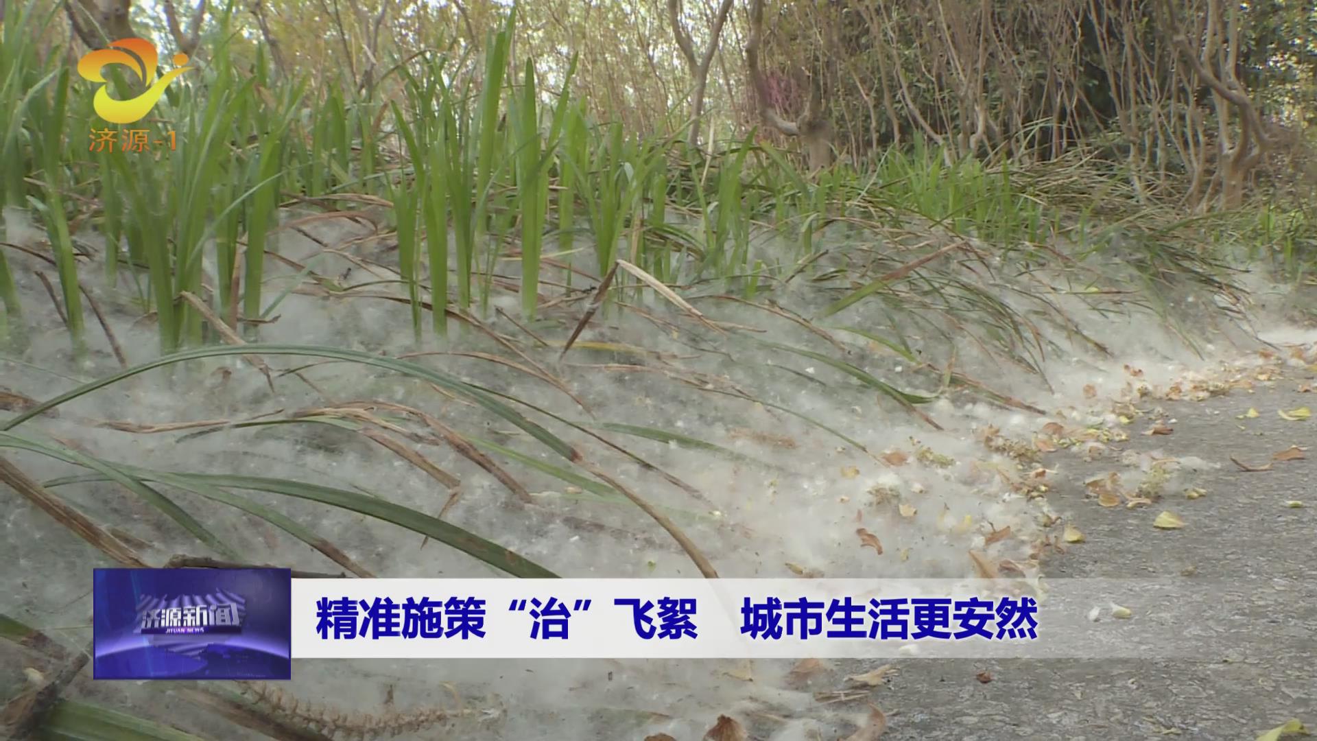 濟源網(wǎng)