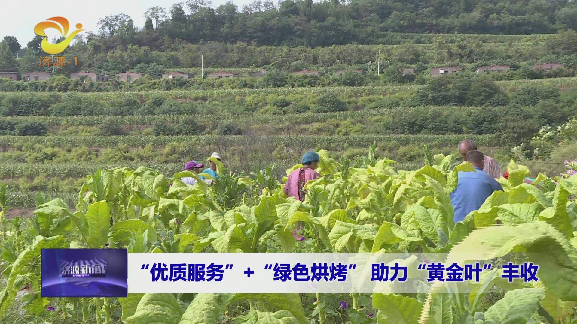 濟源網