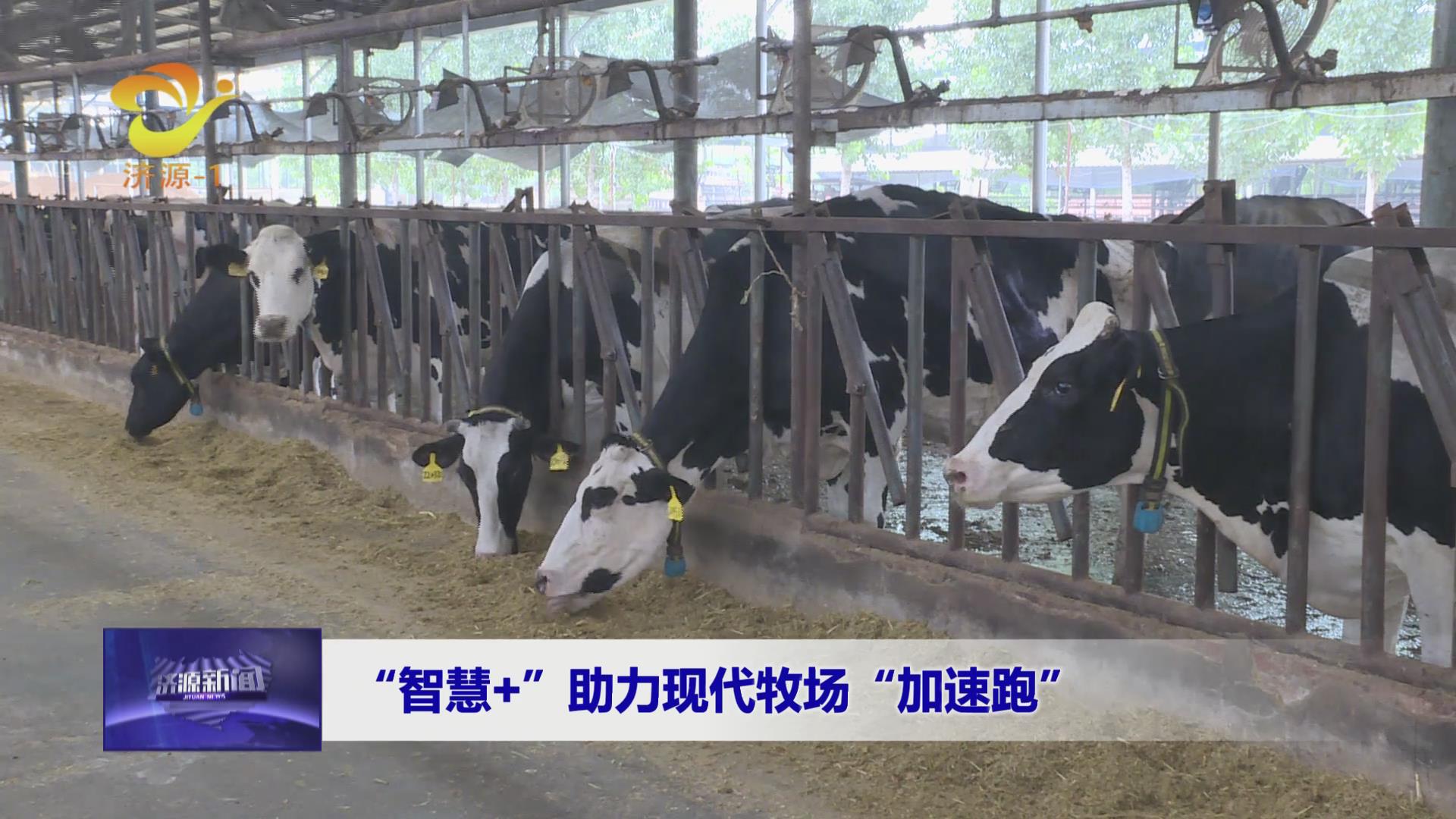 濟源網(wǎng)
