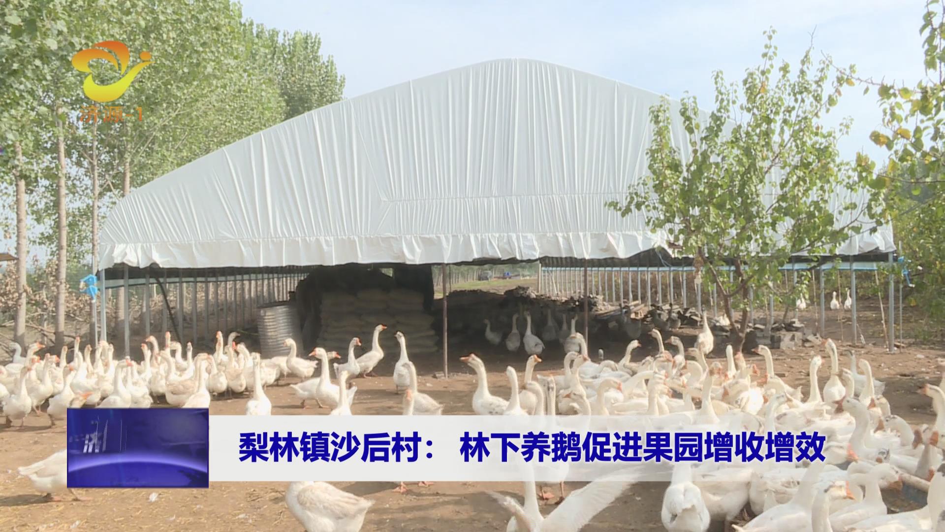 濟源網