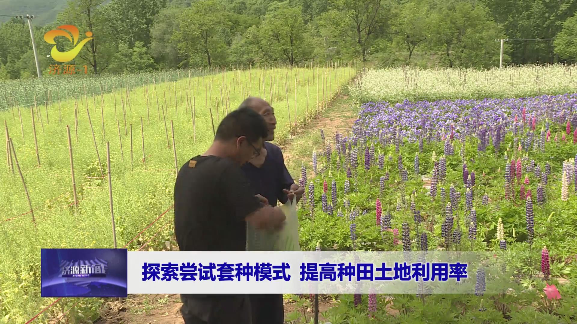 濟源網