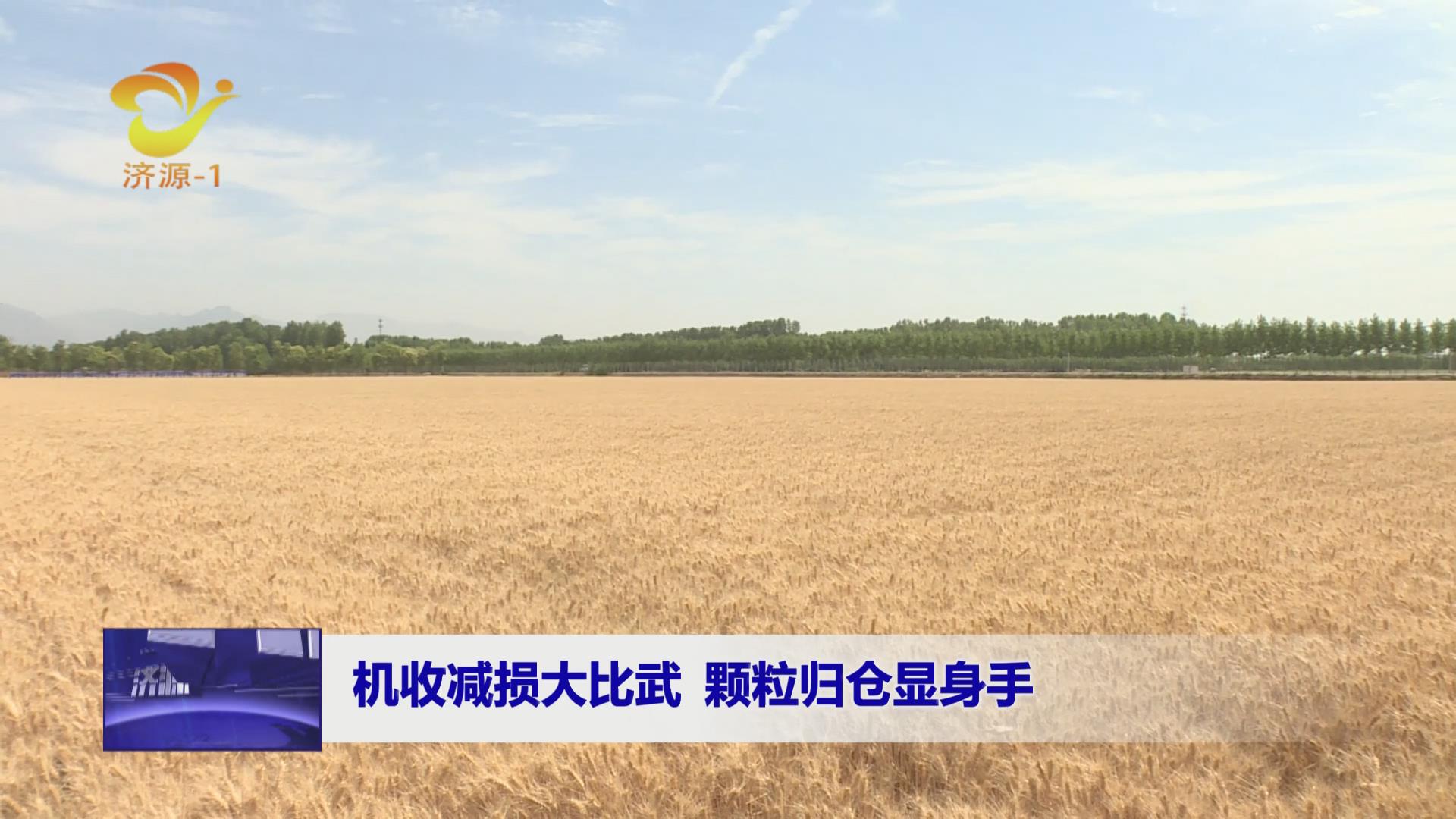 濟源網