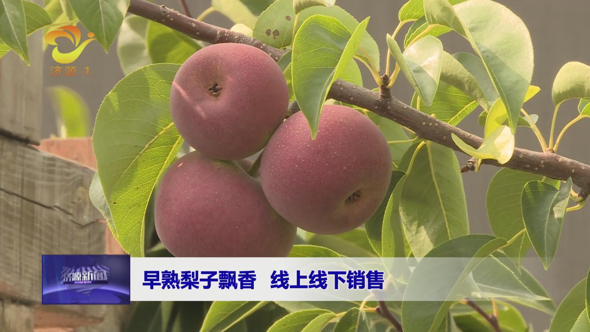濟源網(wǎng)