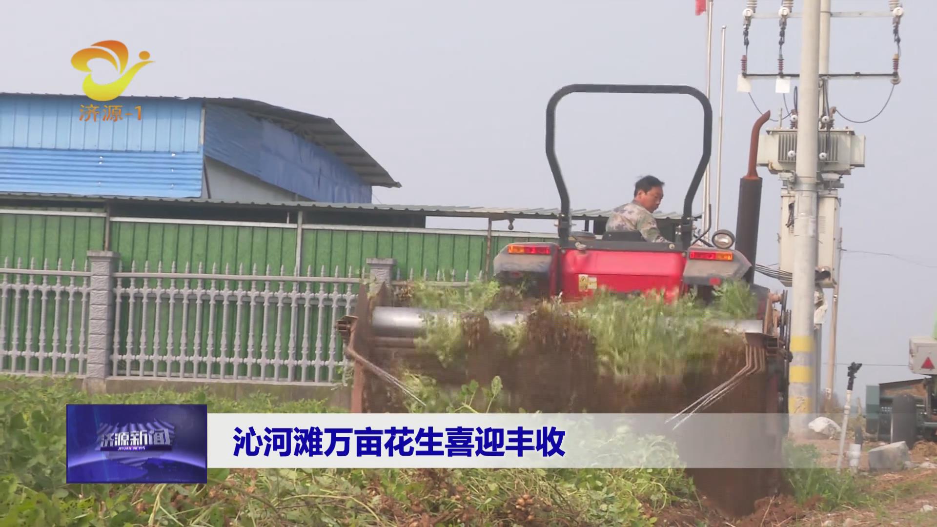 濟源網